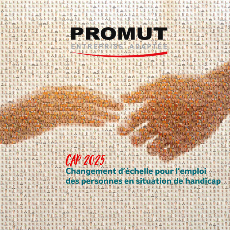 Les publications Promut PROMUT entreprise adaptée Rénovation