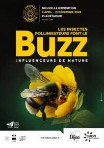 flyer expo "Les insectes font le BUZZ"